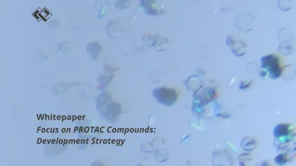 Focus on PROTAC Compounds: Development Strategy